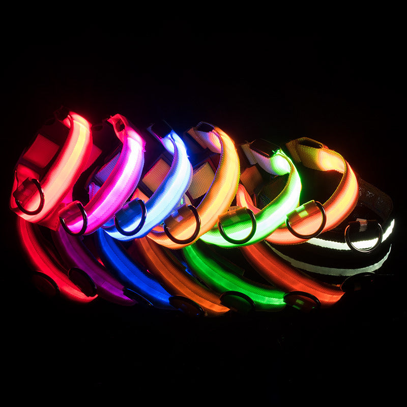 SafeDog LED