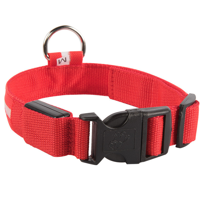 SafeDog LED