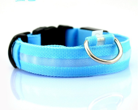 SafeDog LED