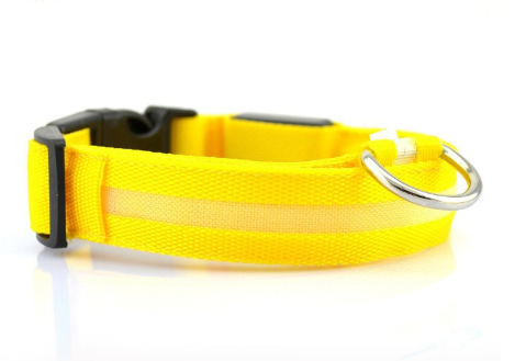 SafeDog LED