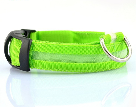 SafeDog LED