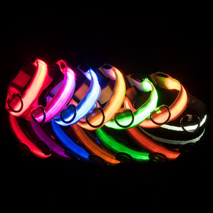 SafeDog LED