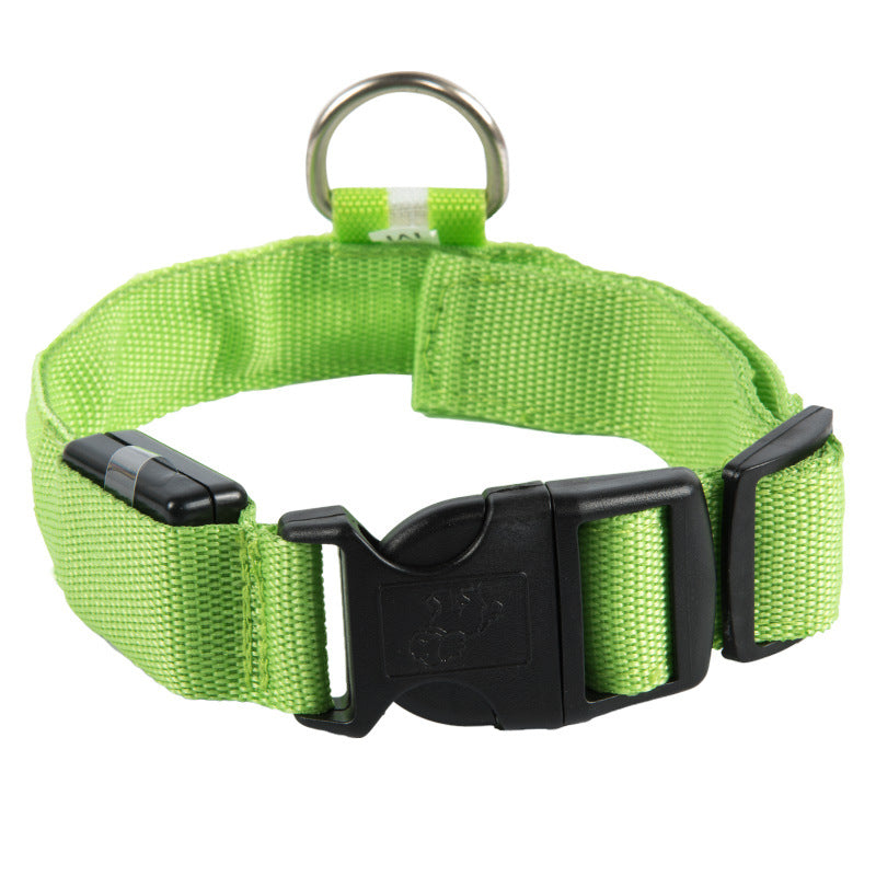 SafeDog LED
