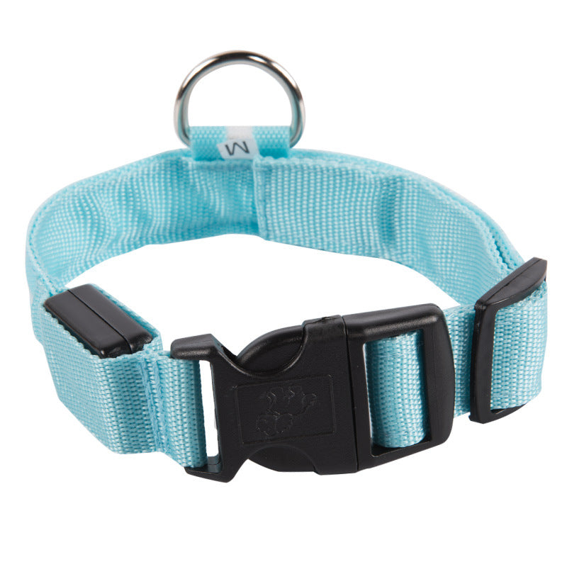 SafeDog LED