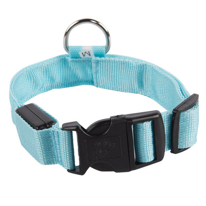 SafeDog LED