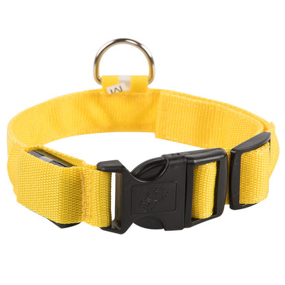 SafeDog LED