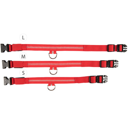 SafeDog LED