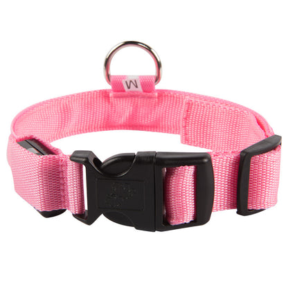 SafeDog LED