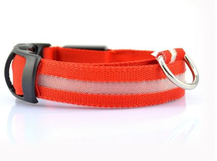 SafeDog LED