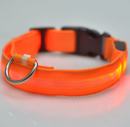 SafeDog LED