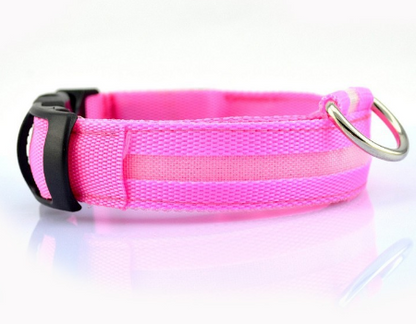 SafeDog LED